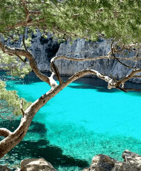 Paddle marseille calanques