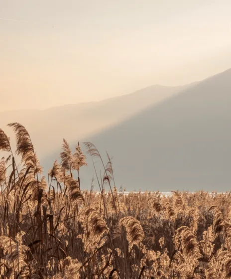 Paddle aix les bains Chanaz