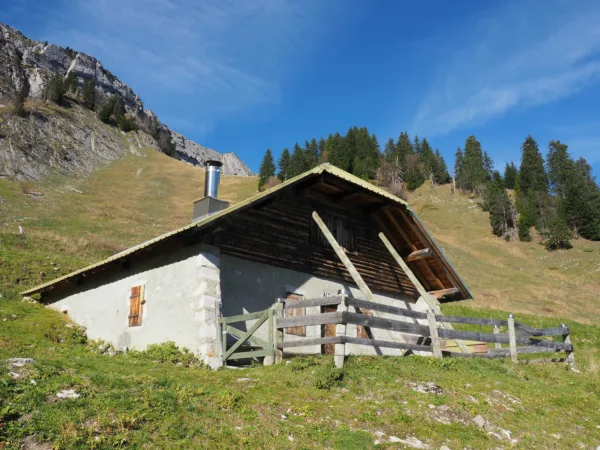Chalet du Planay