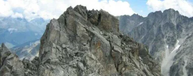 Le Génépi sommet 2