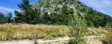 Mont Gerbier de Jonc 2