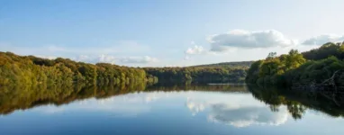 Forêt de Quénécan