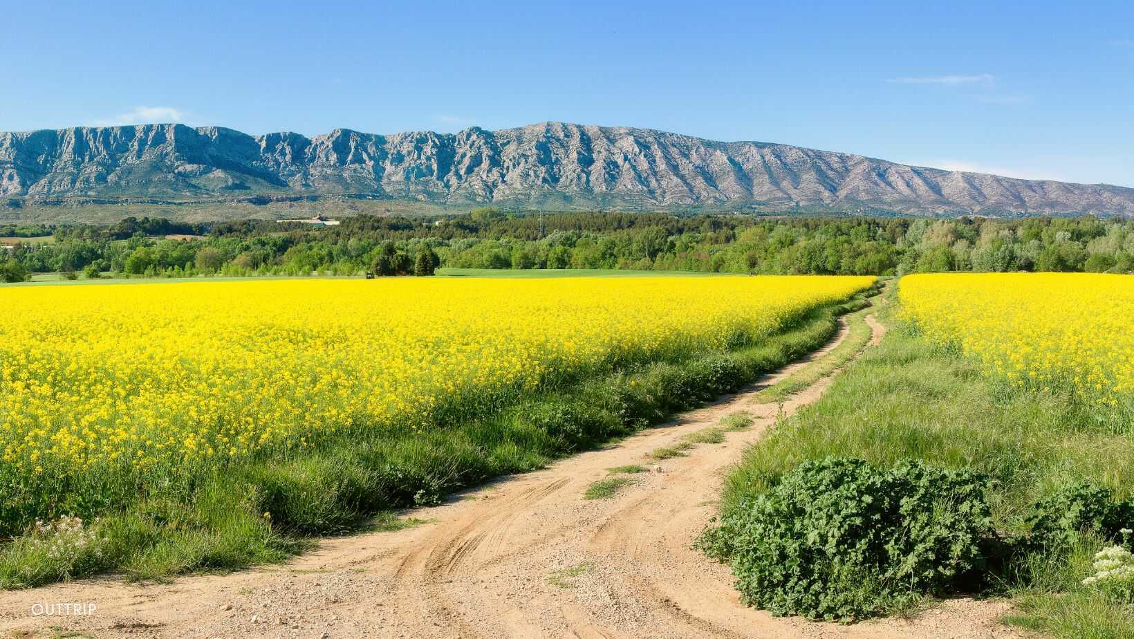 Montagne Sainte Victoire 3
