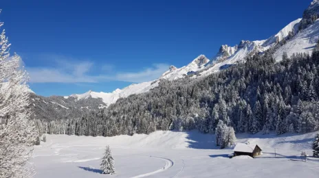 Ski de fond Haute-Savoie - les stations à découvrir !