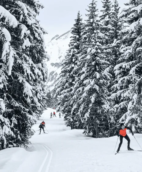 Ski de fond Annecy