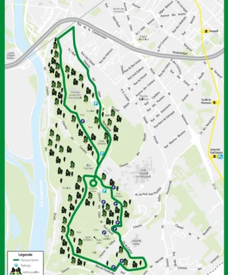 Course à pied toulouse Pech David