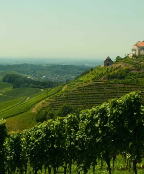 Randonnée forêt noire proche strasbourg 1