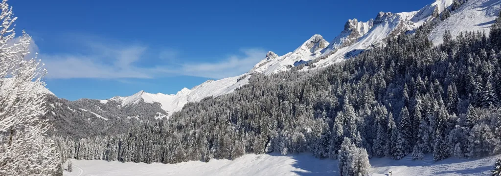 Ski de fond Haute-Savoie - les stations à découvrir !
