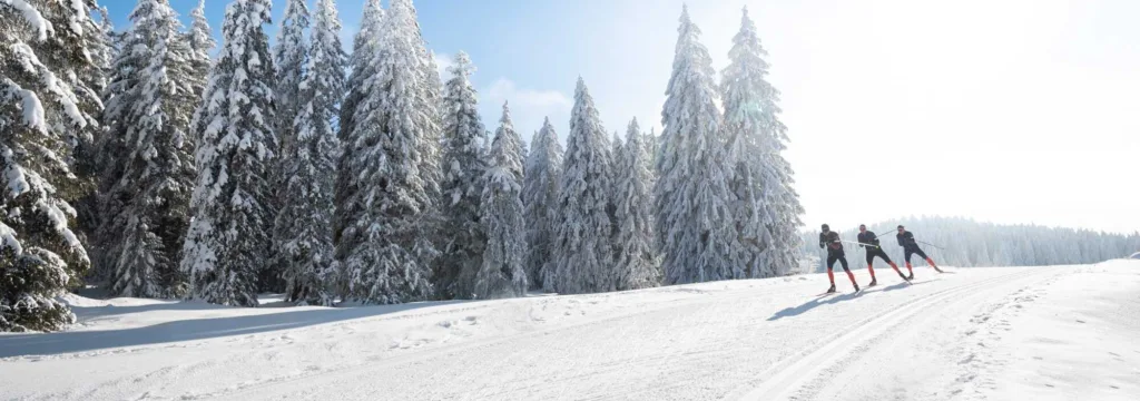 Ski de fond Vercors