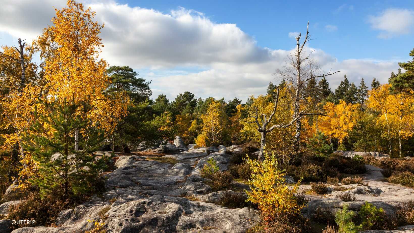 Randonnée automne 2