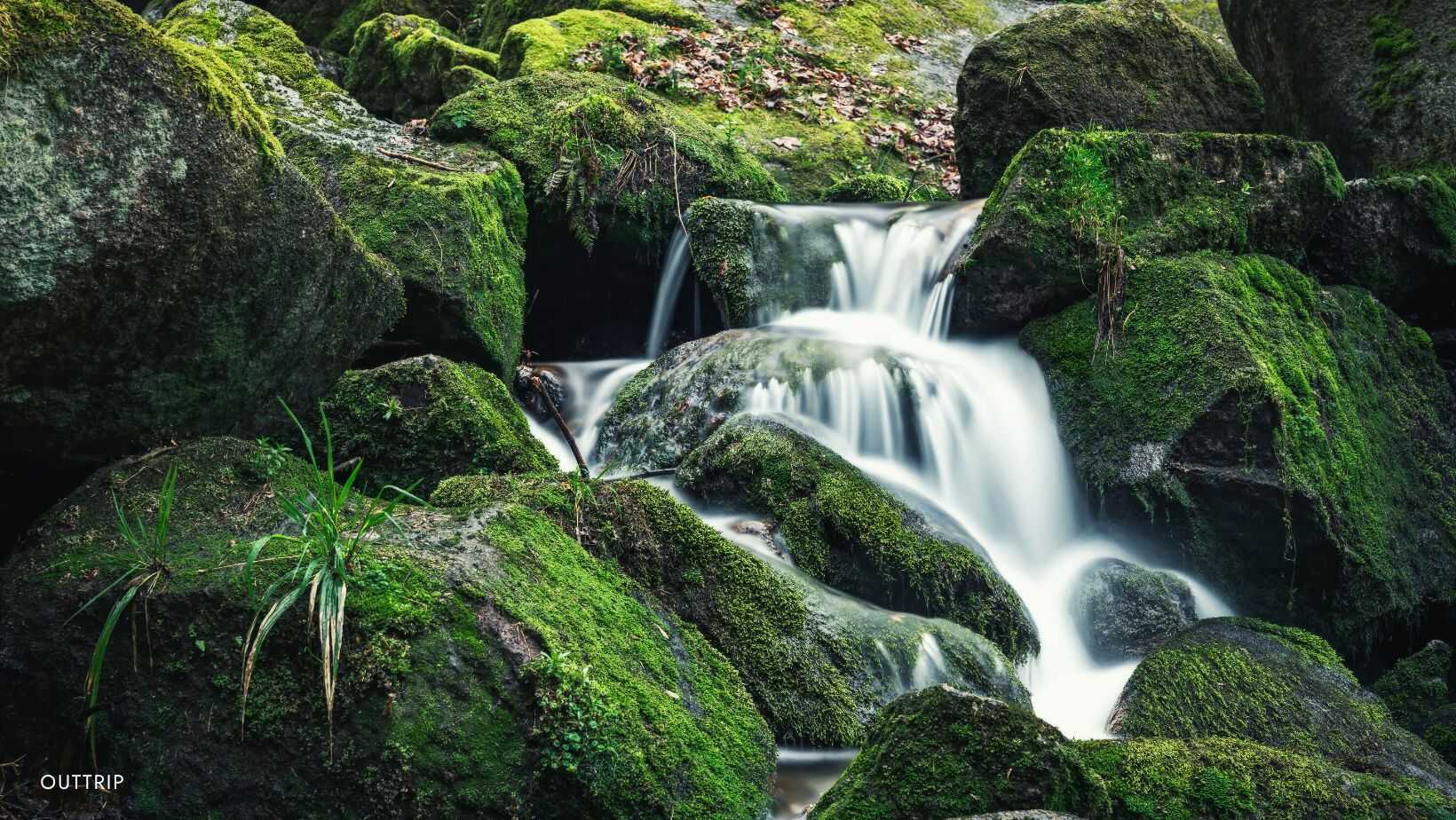 Randonnée forêt noire proche strasbourg 2