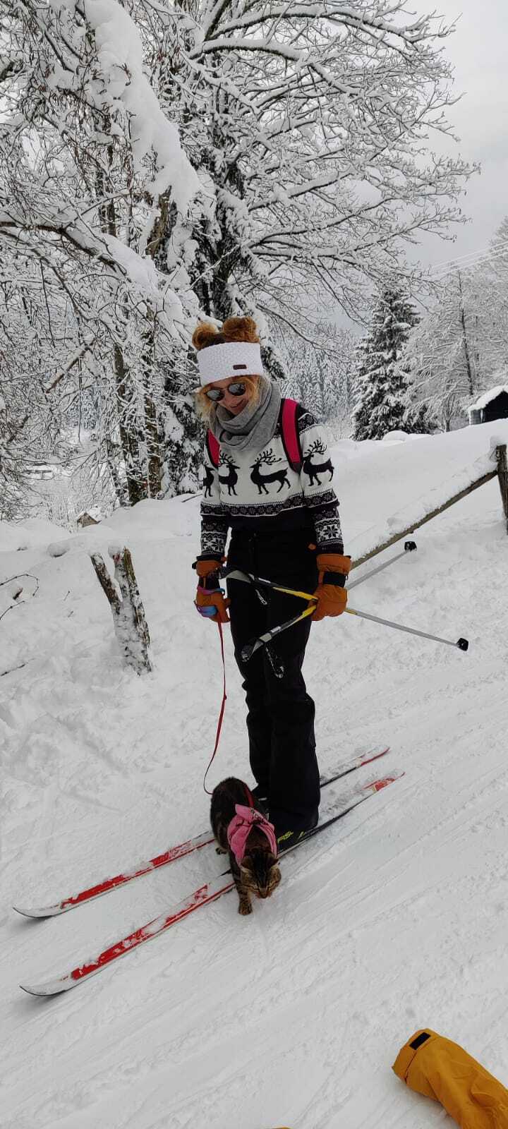 Emmener son chat partout  - Ski de fond avec son chat neige