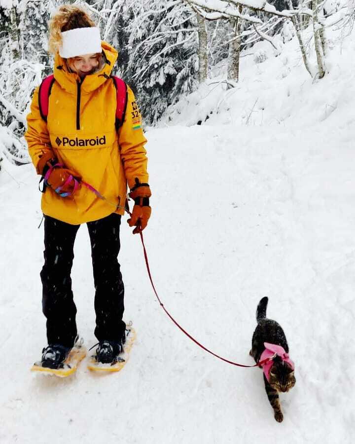 Emmener son chat partout - Raquettes avec son chat neige