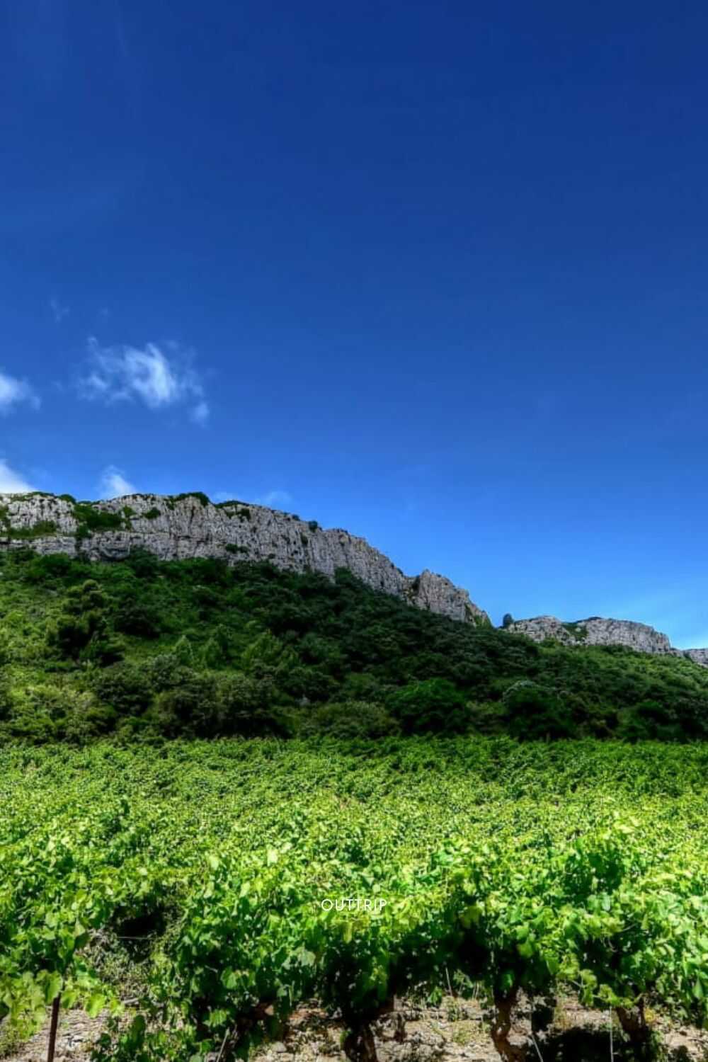 Massif de la Clape 3