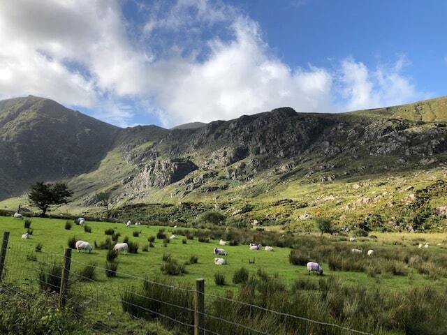 Road Trip en Irlande min