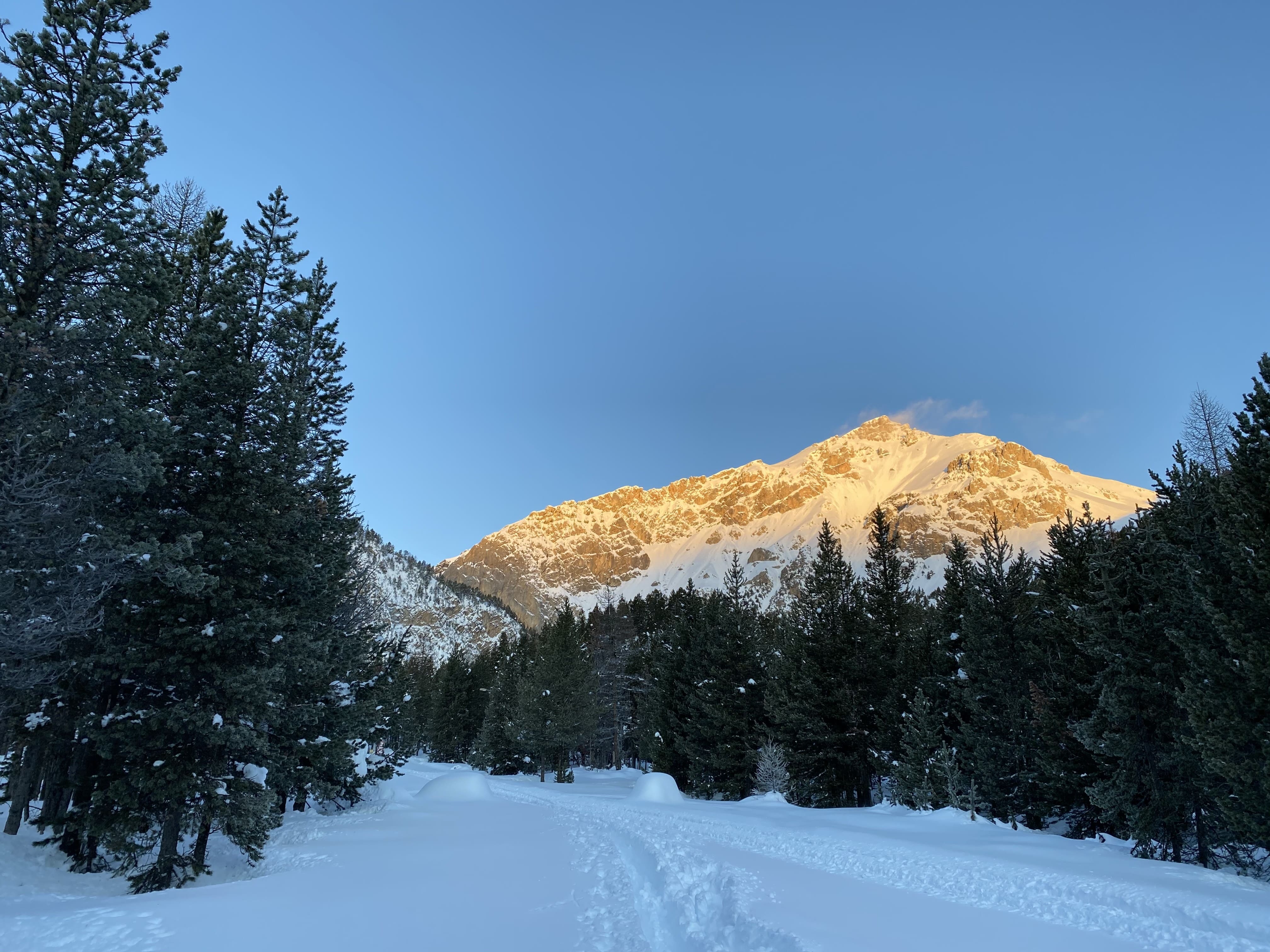 Tout savoir sur la pratique du ski de fond beau paysage