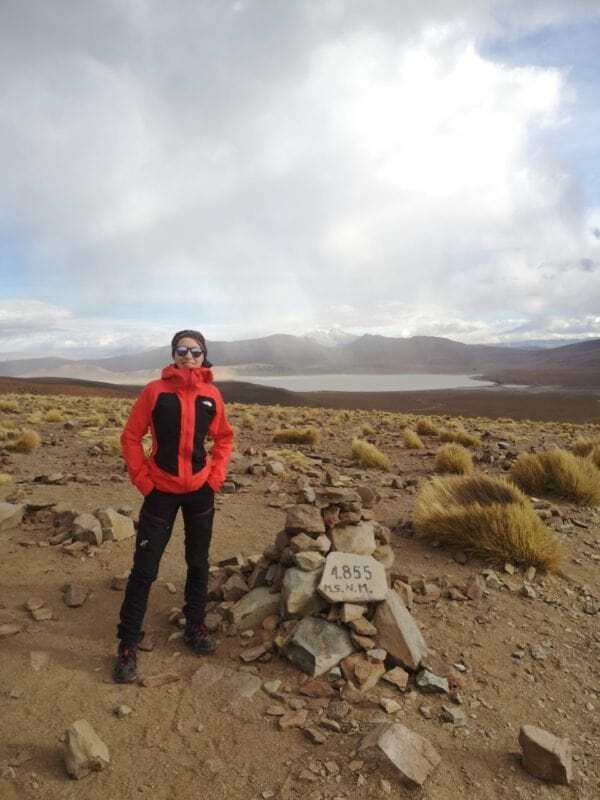 Veste The North Face Impendor C-knit