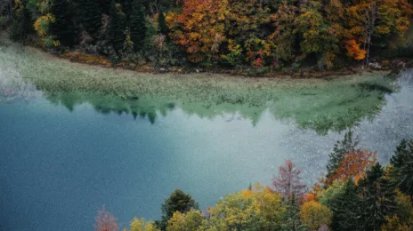 Randonnée dans le Jura