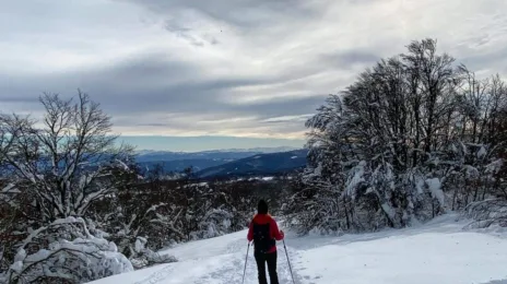 Itinéraire de Randonnée Raquettes dans l'Ain