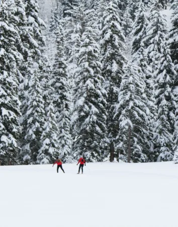 Station Ski de fond en France