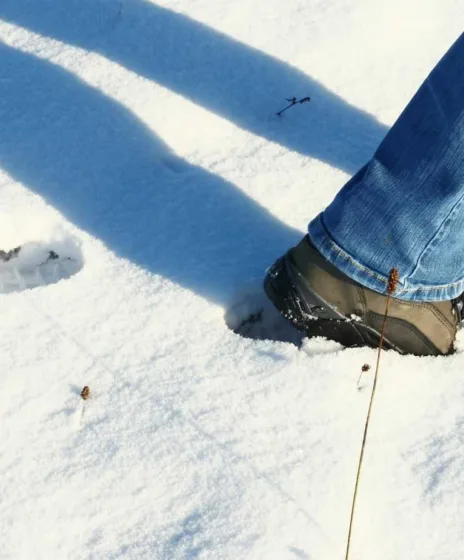 Randonnée neige sans raquette 1