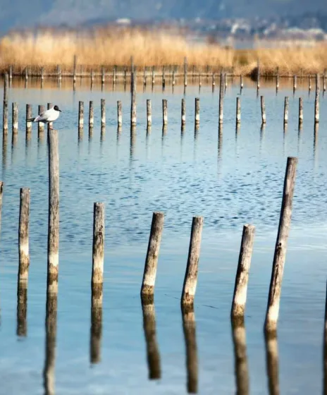 Randonnée Aix les Bains 4