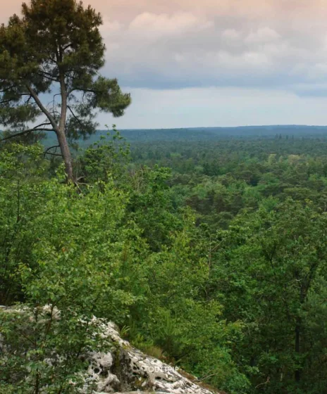 Randonnée en ile de france 1