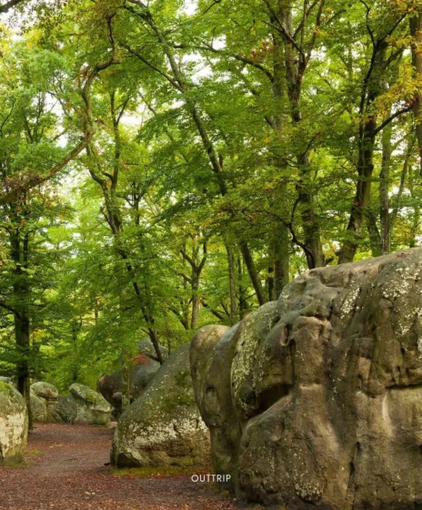Randonnée en ile de france 2