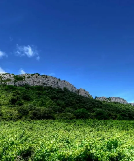 Massif de la Clape 3