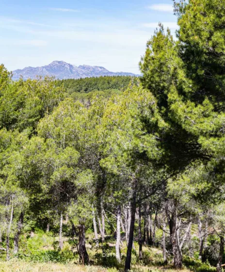 Massif des Alpilles 4