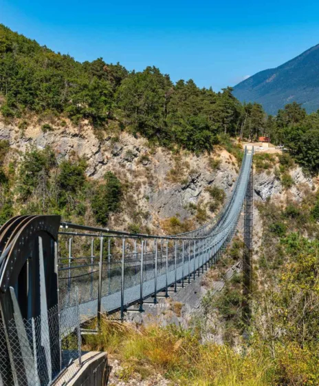 Lac de Monteynard chien