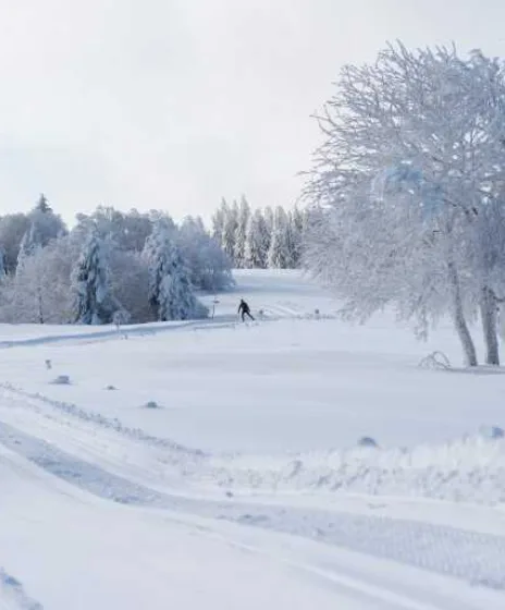 Meilleure Station de Ski de Fond Vosges