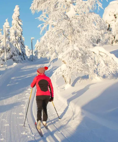 Ski de fond débutant 2