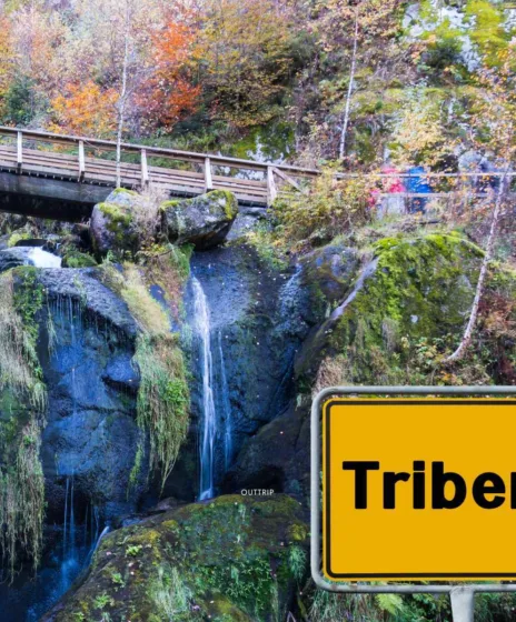 Triberg train de montagne europe