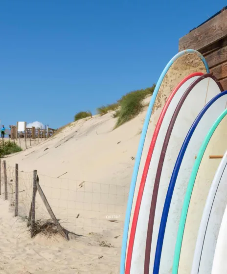 Activités dans les Landes 2