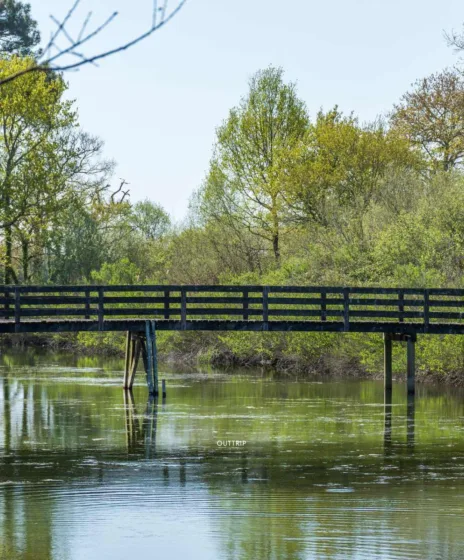 Activités les Landes