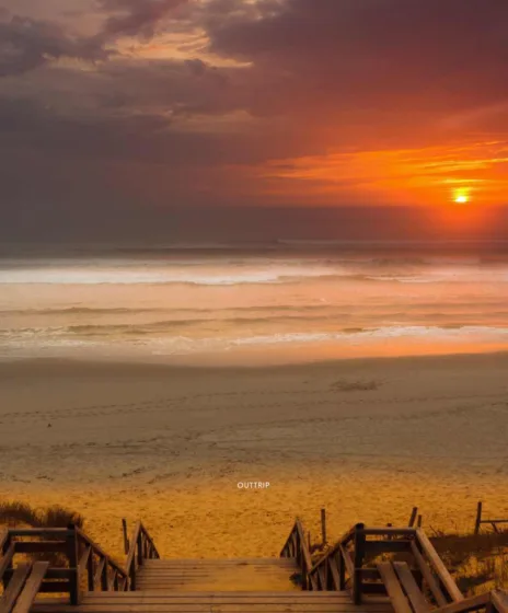 Activités les Landes 3