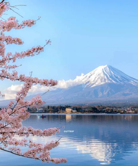 Voyage organisé Japon 3