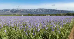 Activités Aix en provence