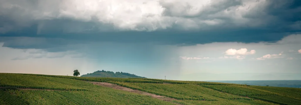 Randonnée en Alsace