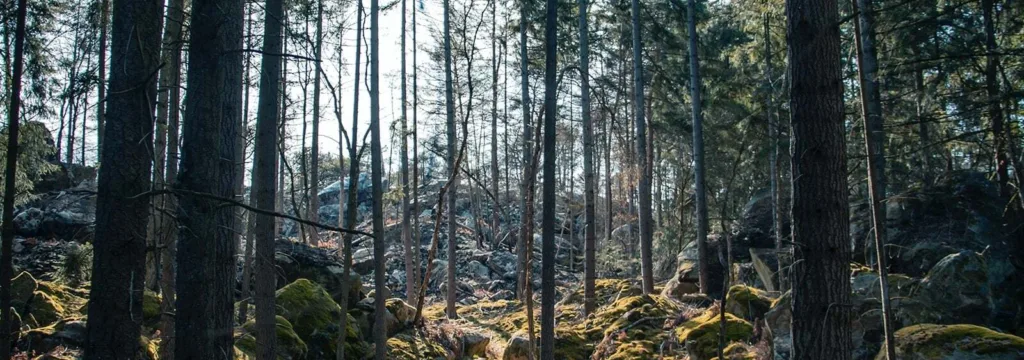 Randonnée en Ile de France