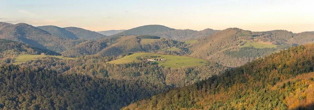 Trail en Alsace