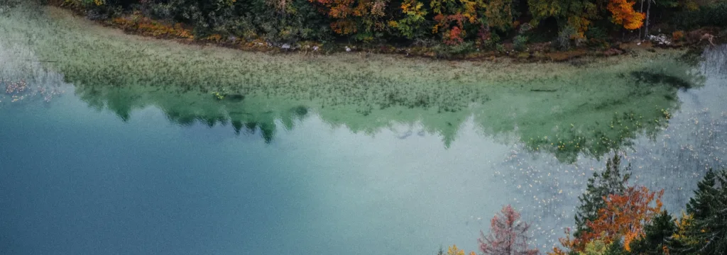 Randonnée dans le Jura