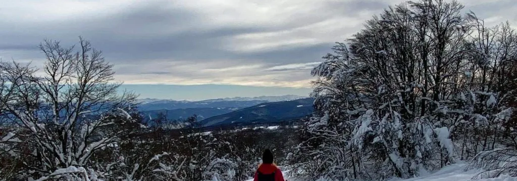 Itinéraire de Randonnée Raquettes dans l'Ain