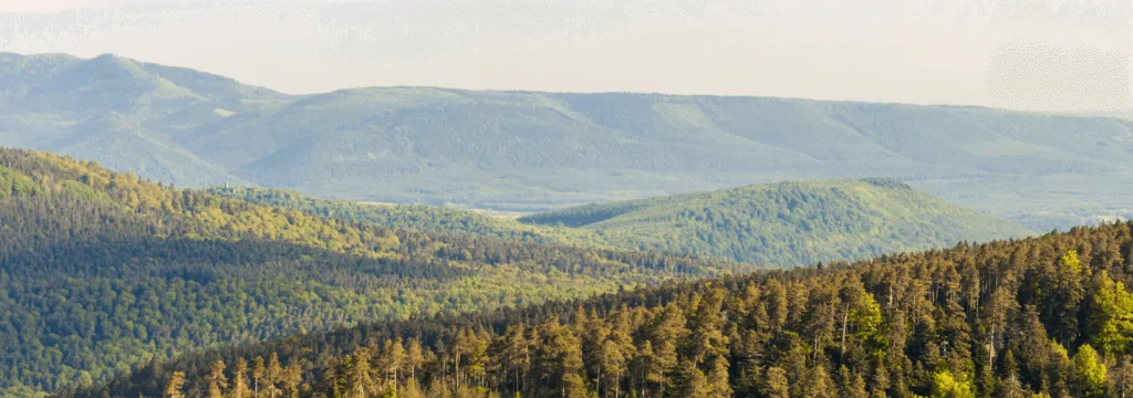 Massif des Vosges