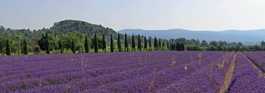 Massif du Luberon