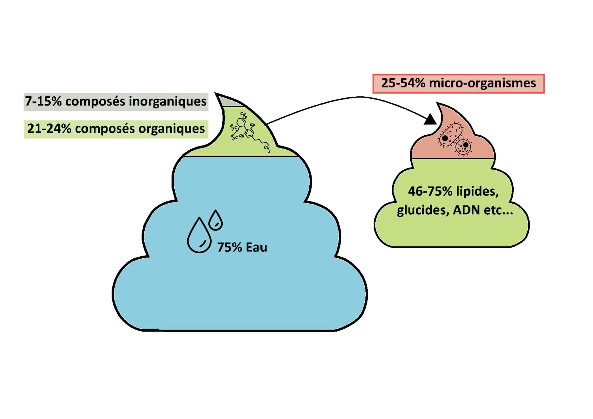 Composition fèces icons