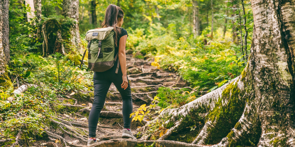 Outtrips de la rentrée