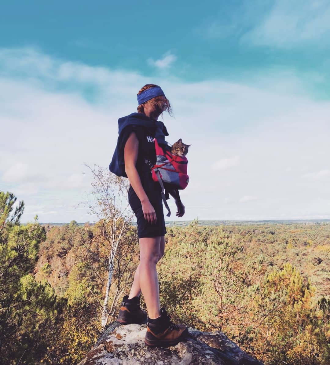 Partir à laventure avec son chat Sac de portage chat