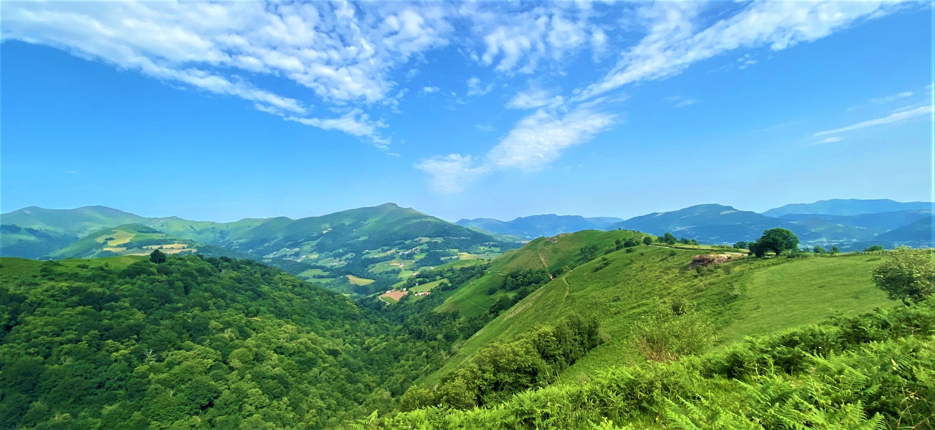 COMMENT BIEN CHOISIR SES CHAUSSURES DE RANDONNEE